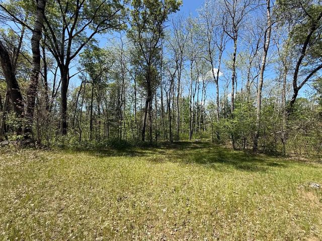 1310 S Cree Drive, Friendship, WI 53934