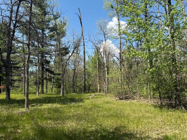 1310 S Cree Drive, Friendship, WI 53934