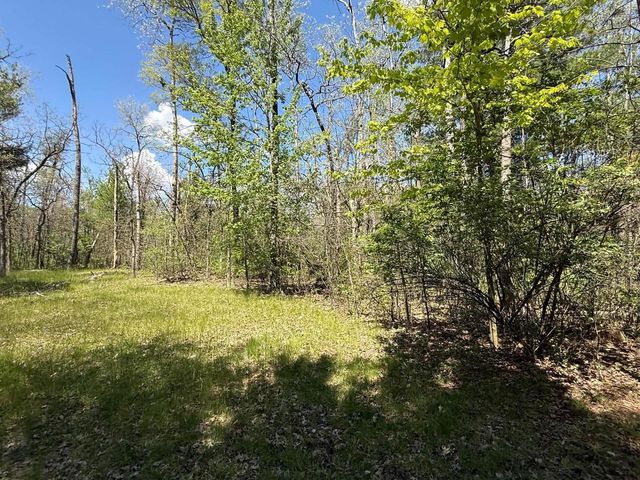 1310 S Cree Drive, Friendship, WI 53934