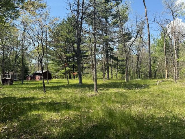 1310 S Cree Drive, Friendship, WI 53934