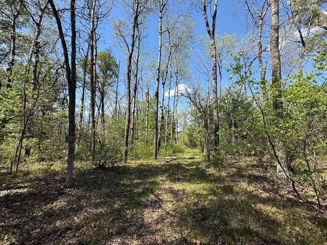 1310 S Cree Drive, Friendship, WI 53934