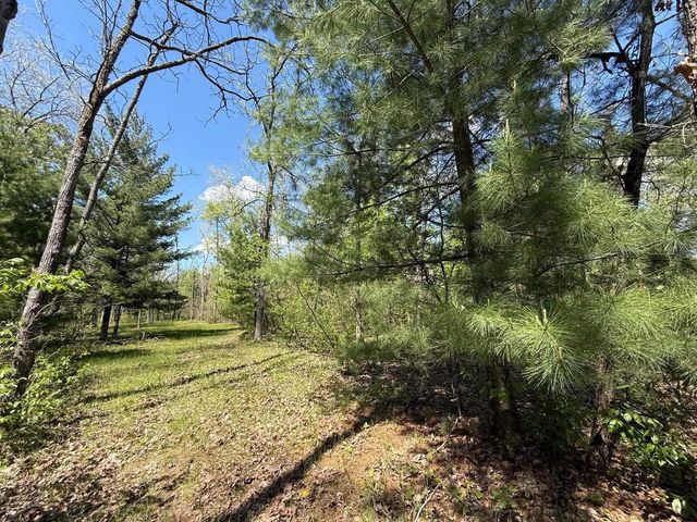 1310 S Cree Drive, Friendship, WI 53934