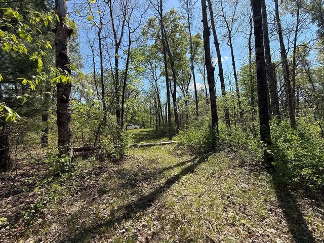 1310 S Cree Drive, Friendship, WI 53934