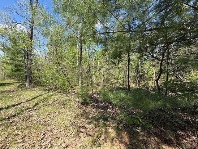 1310 S Cree Drive, Friendship, WI 53934