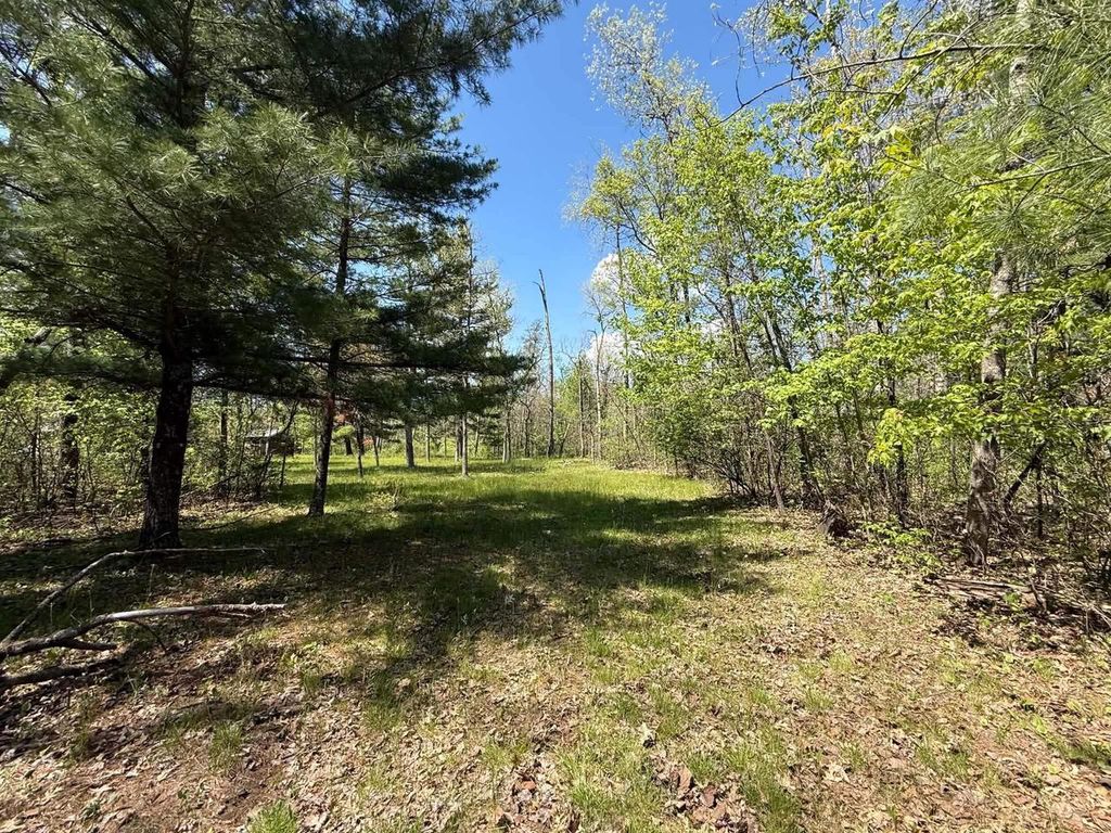 1310 S Cree Drive, Friendship, WI 53934