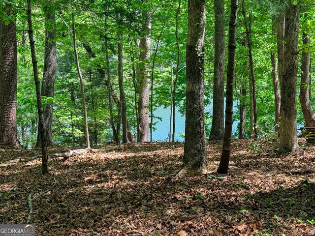 51 Mountain Park Boulevard, Cleveland, GA 30528