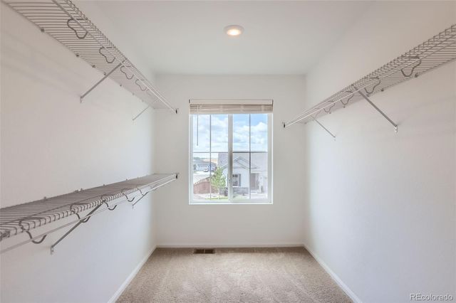 4591 Sugar Beet Street, Johnstown, CO 80534