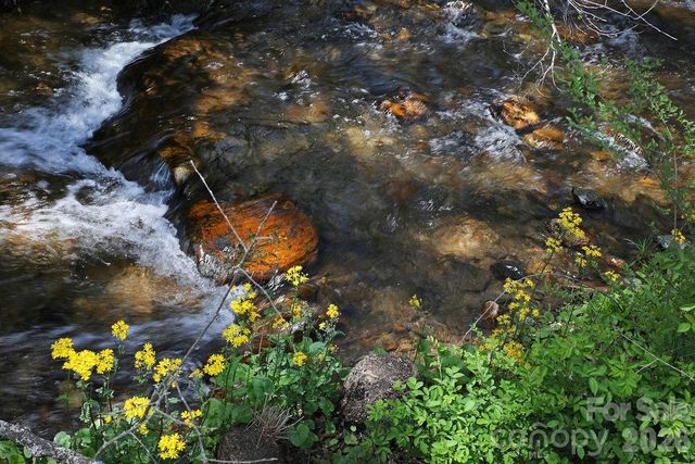 17 Resada Drive, Brevard, NC 28712