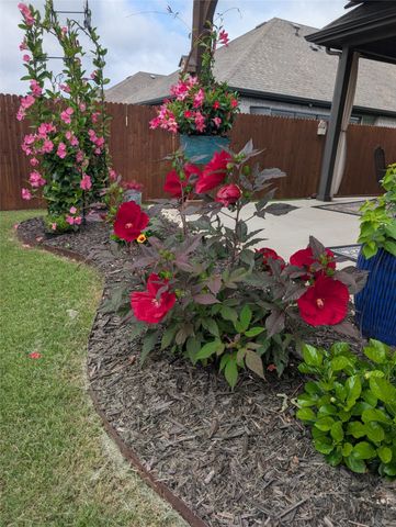 718 Indian Blanket Drive, Midlothian, TX 76065