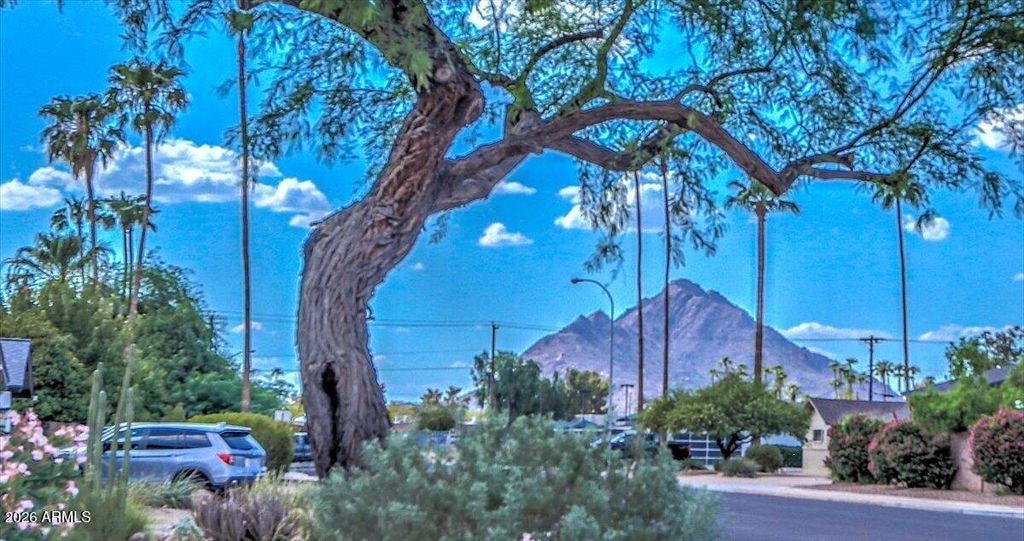 8637 E CAMELBACK Road, Scottsdale, AZ 85251 — photo 5
