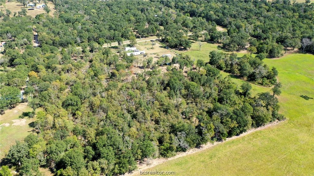 9486 Puddin Lane, Madisonville, TX 77864 — photo 4