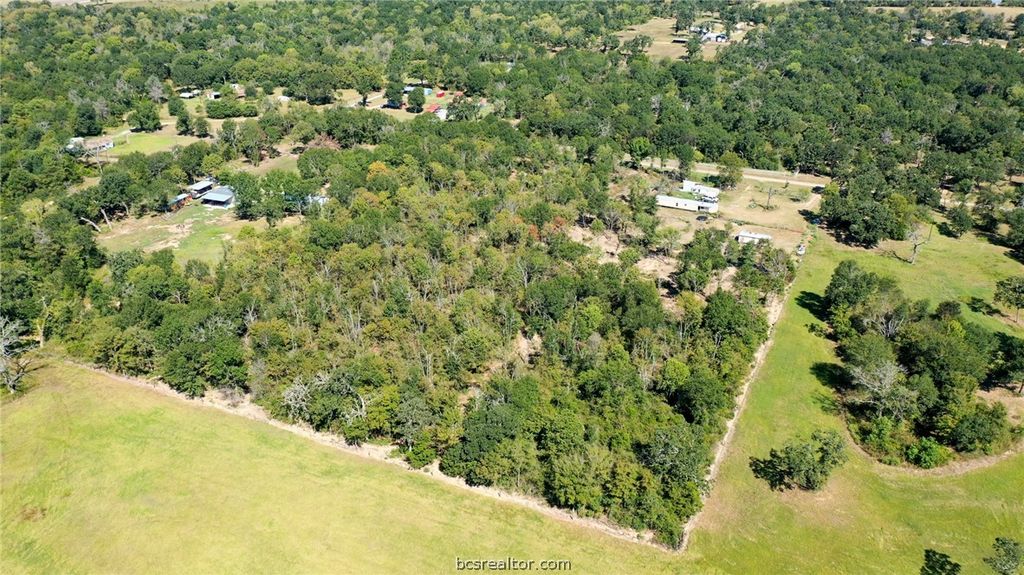 9486 Puddin Lane, Madisonville, TX 77864 — photo 5