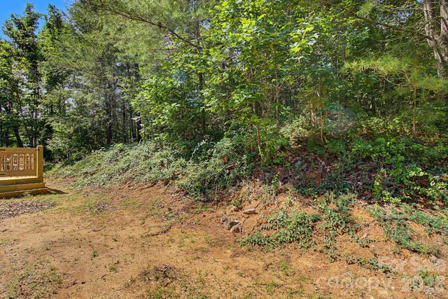 175 Pine Cove Lane, Alexander, NC 28701