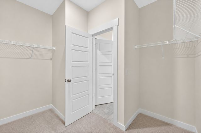 221 Casper Dr, Spring Hill, TN 37174