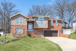 248 Mesquite Drive, Branson, MO 65616