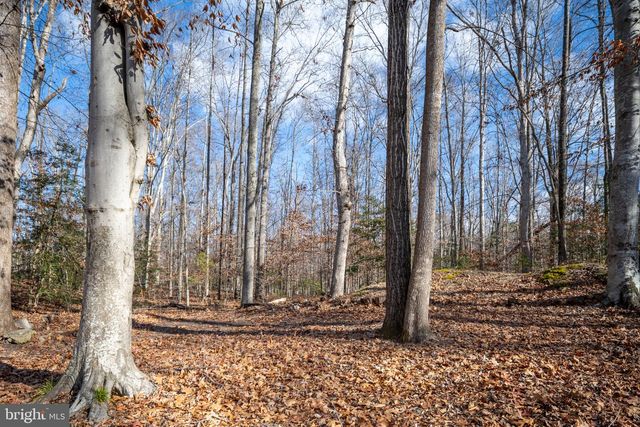 26335 HILL RD, Ruther Glen, VA 22546