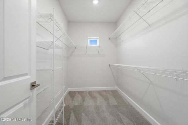 11306 BARRIER BEACH Place, Jacksonville, FL 32256