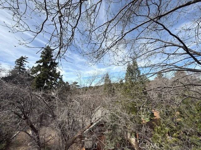 33466 Angeles, Green Valley Lake, CA 92341