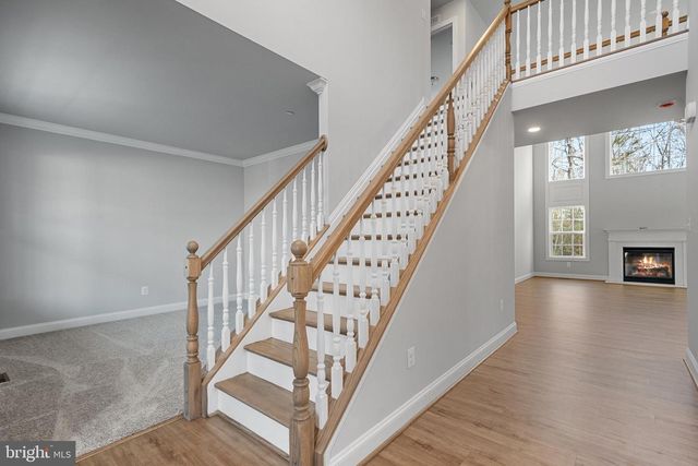 12300 CALVERTS RUN COURT, La Plata, MD 20646