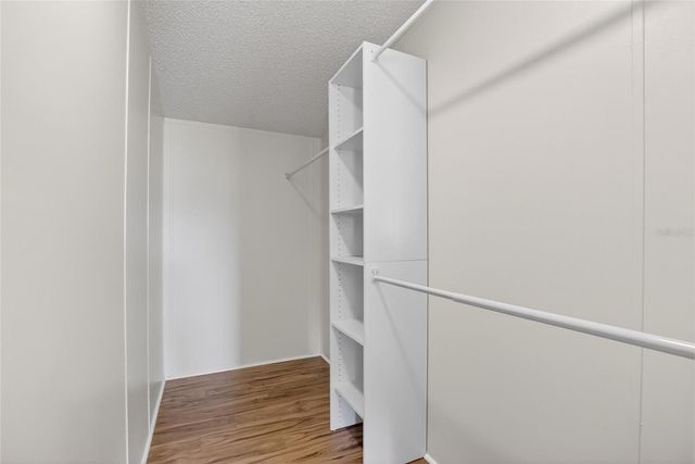 9150 WOOD TERRACE DRIVE, Tampa, FL 33637