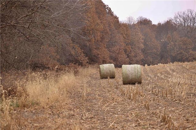 32184 E 237th Street, Ridgeway, MO 64481