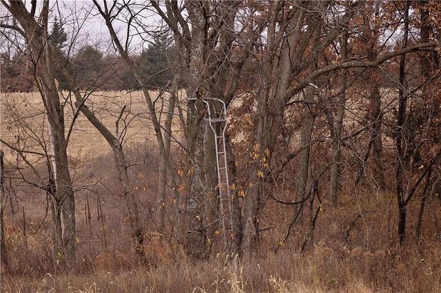 32184 E 237th Street, Ridgeway, MO 64481