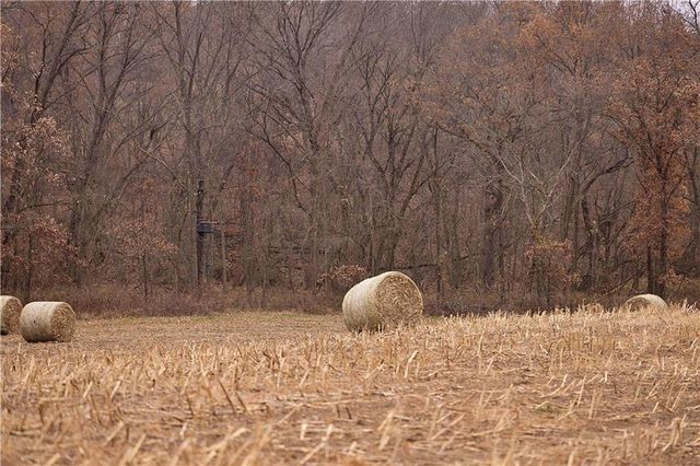 32184 E 237th Street, Ridgeway, MO 64481