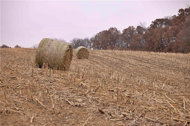 32184 E 237th Street, Ridgeway, MO 64481