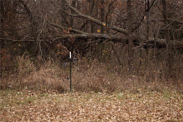 32184 E 237th Street, Ridgeway, MO 64481