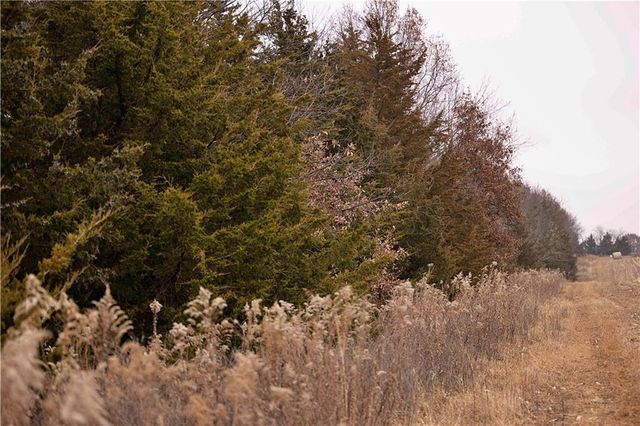 32184 E 237th Street, Ridgeway, MO 64481