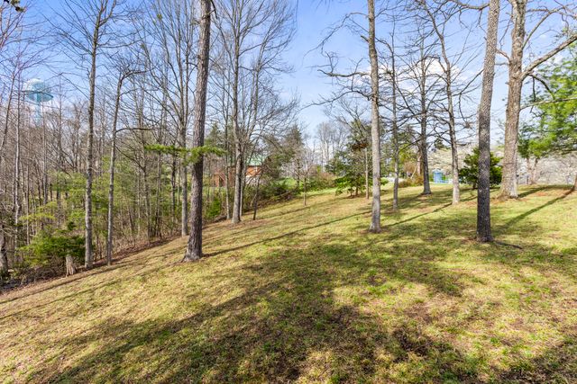 55 Dogwood Drive, Wellington, KY 40387