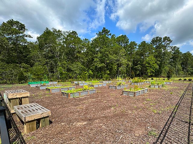 171 Warner Crossing Way, Loris, SC 29569