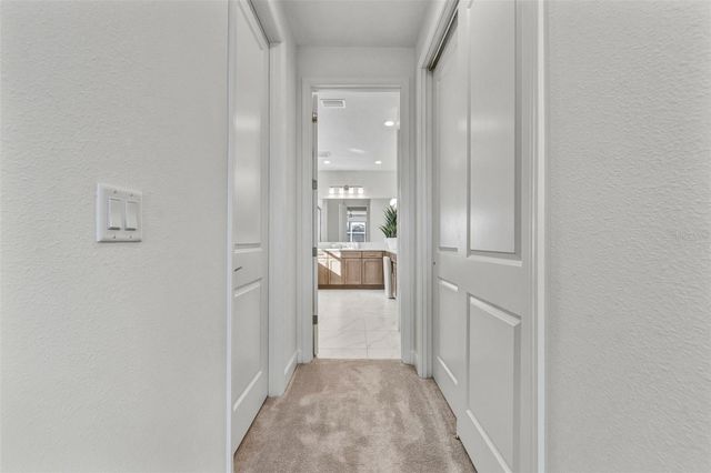 3392 MALTA, Wesley Chapel, FL 33543