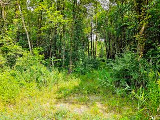 41934 Judd Road, Belleville, MI 48111