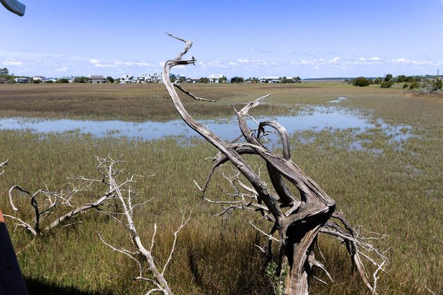 1205 Jungle Road, Edisto Island, SC 29438