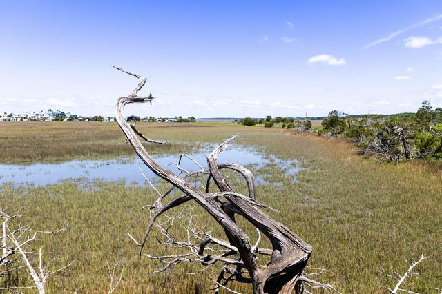 1205 Jungle Road, Edisto Island, SC 29438