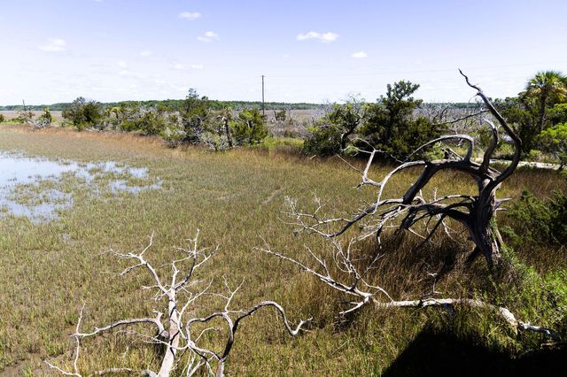 1205 Jungle Road, Edisto Island, SC 29438