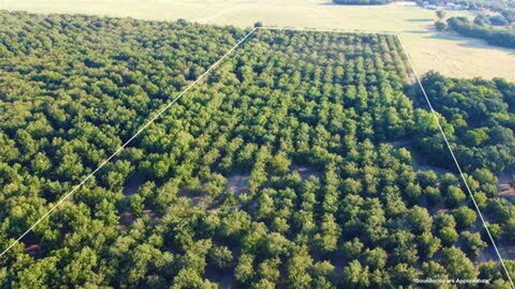 Image 3 of property listing at N/a Tx-16 Highway, De Leon, TX 76444