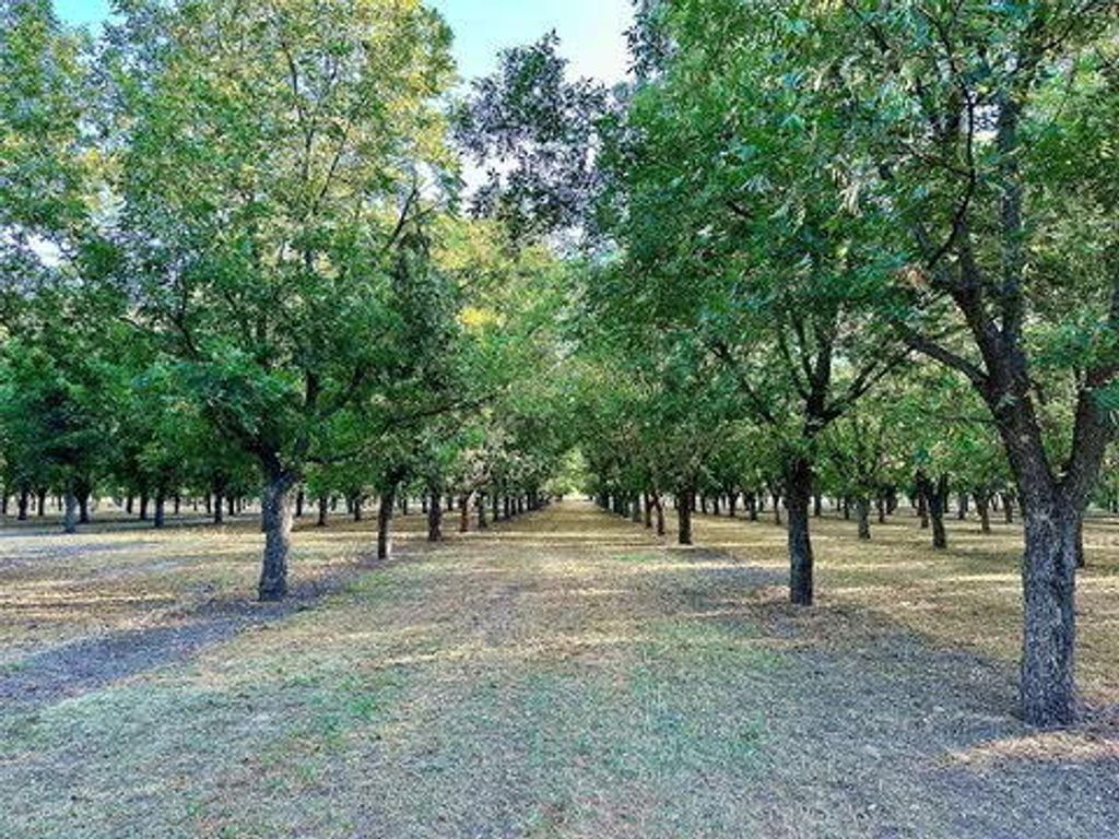 Image 5 of property listing at N/a Tx-16 Highway, De Leon, TX 76444