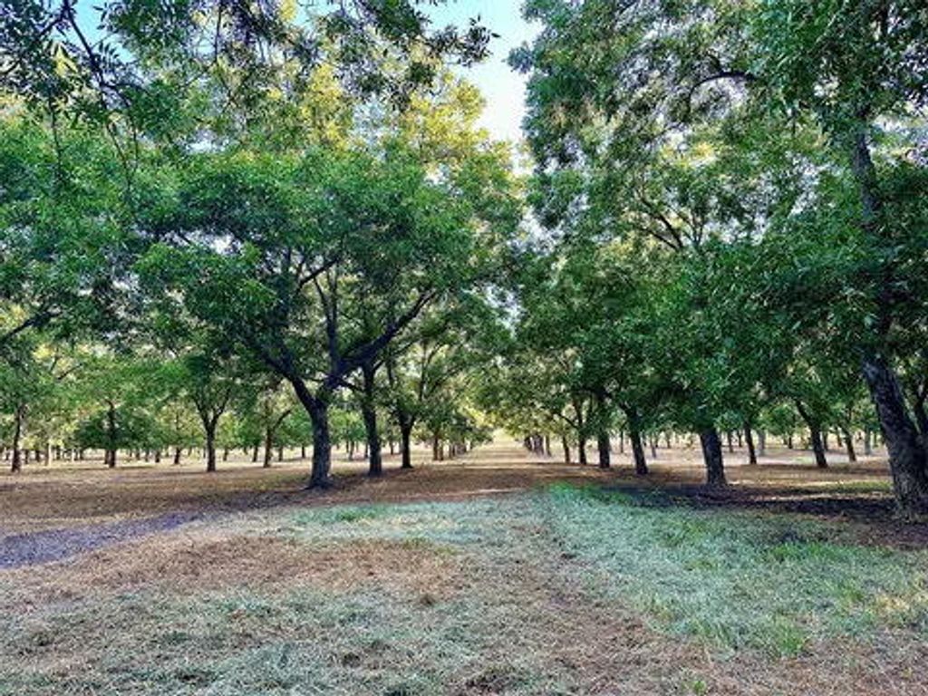 Image 6 of property listing at N/a Tx-16 Highway, De Leon, TX 76444