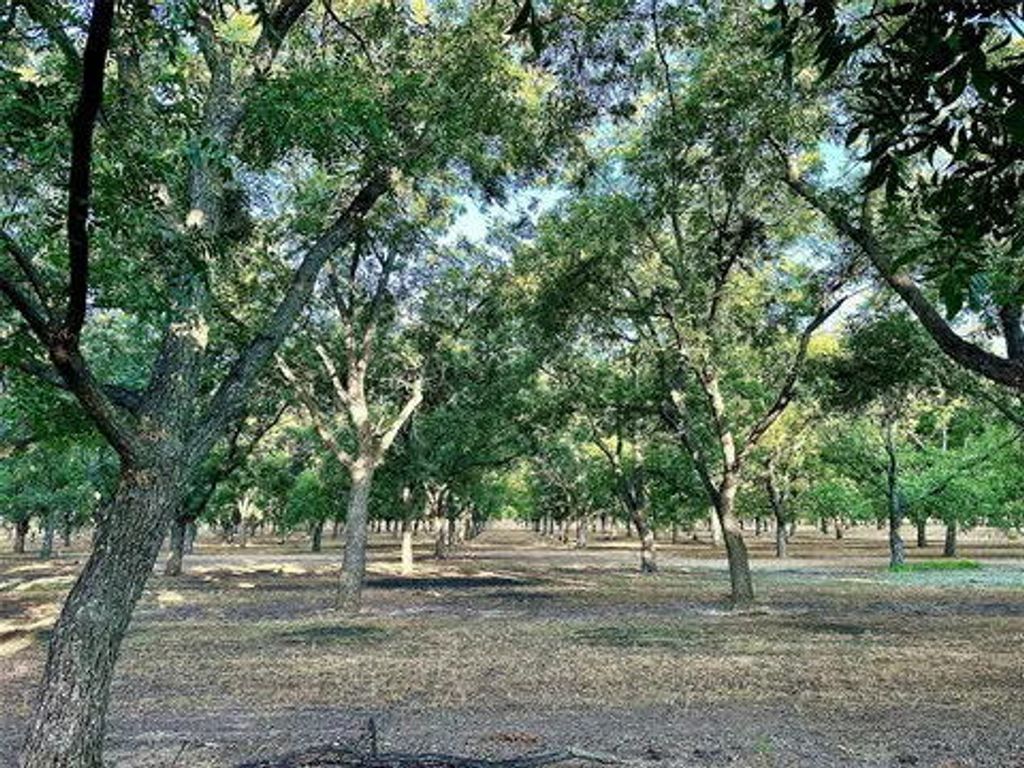 Image 7 of property listing at N/a Tx-16 Highway, De Leon, TX 76444