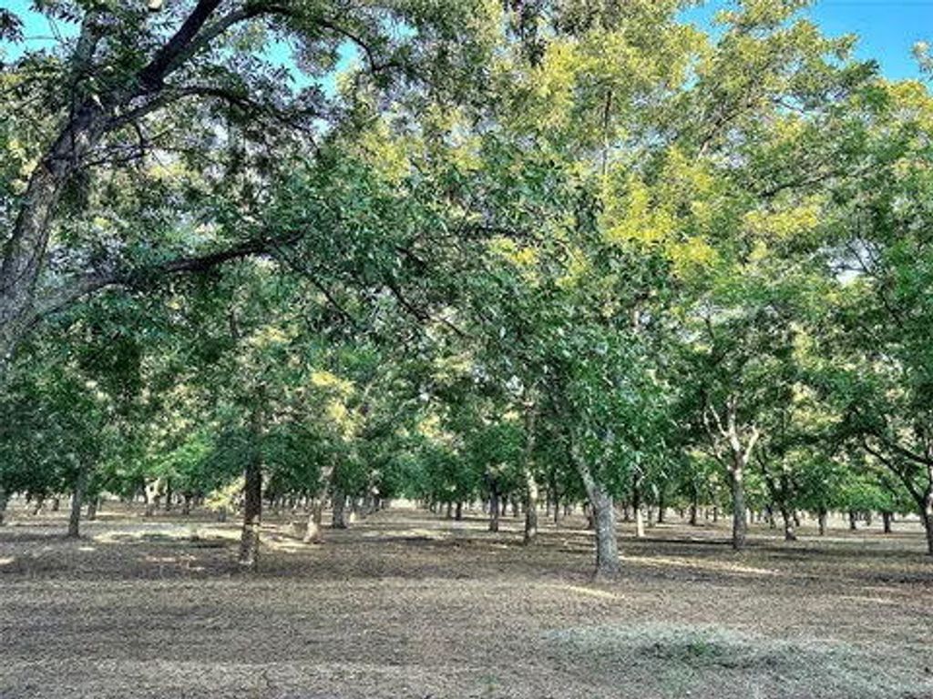 Image 8 of property listing at N/a Tx-16 Highway, De Leon, TX 76444