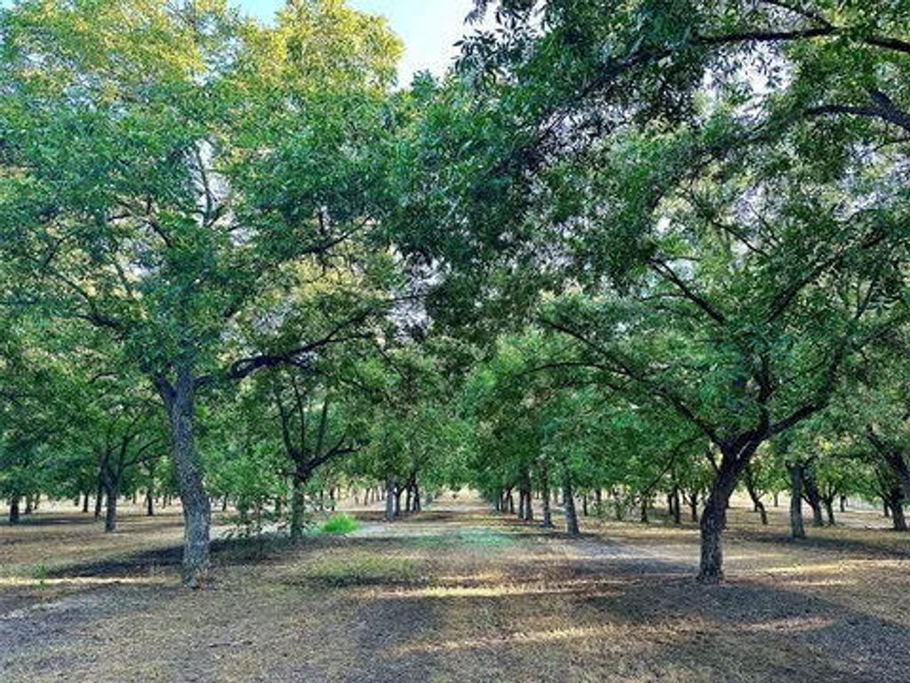 Image 9 of property listing at N/a Tx-16 Highway, De Leon, TX 76444