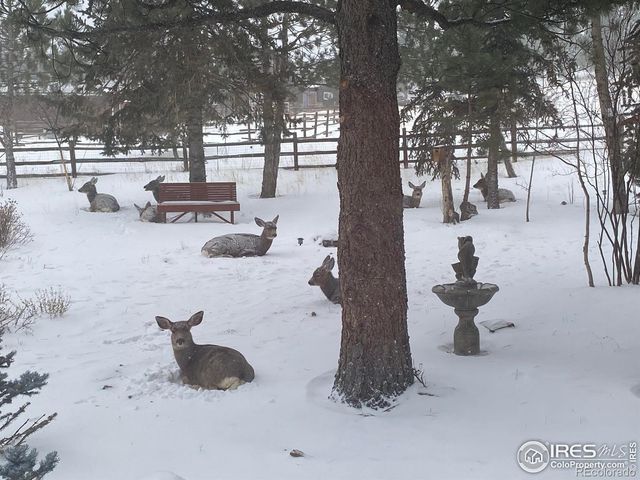 2441 Spruce Avenue, Estes Park, CO 80517