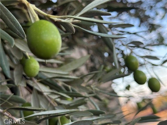 8539 W Avenue L, Lancaster, CA 93536