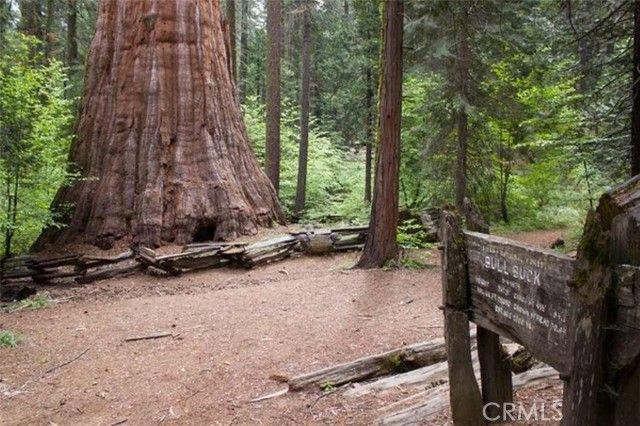 42583 Shady Lane, Oakhurst, CA 93644