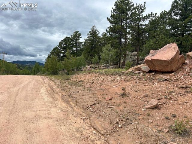 155 County Road 403, Florissant, CO 80816