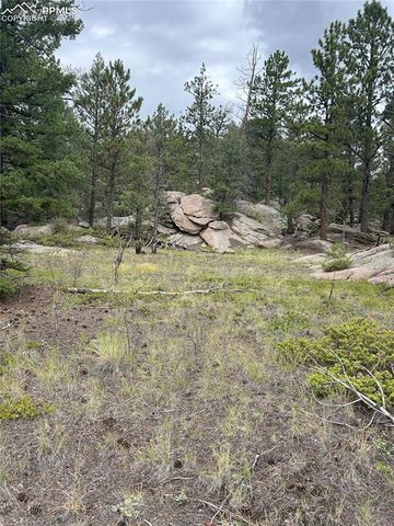 155 County Road 403, Florissant, CO 80816