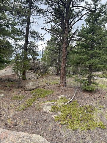 155 County Road 403, Florissant, CO 80816