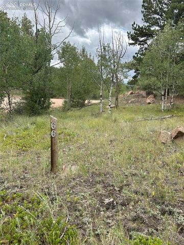 155 County Road 403, Florissant, CO 80816